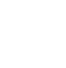 house icon